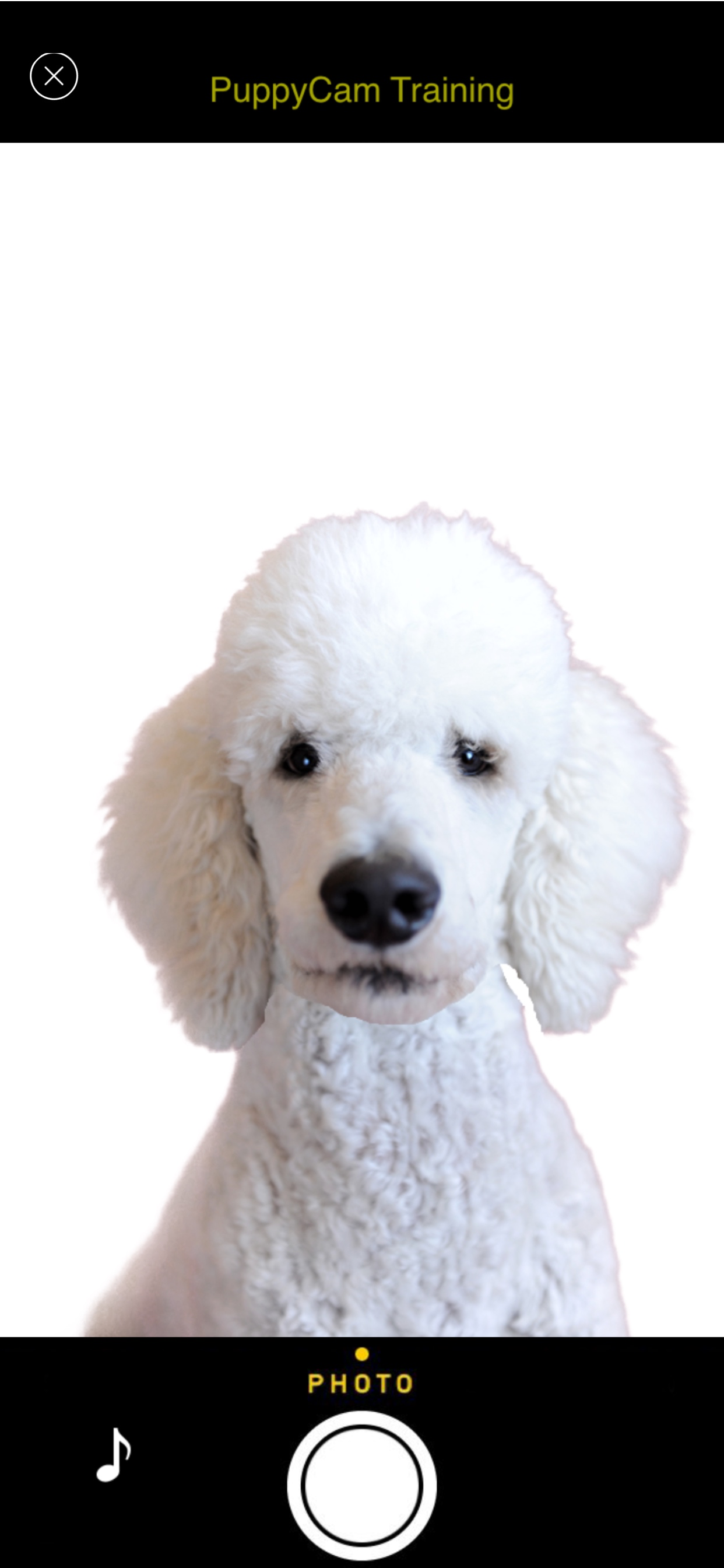 PuppyCam screenshot